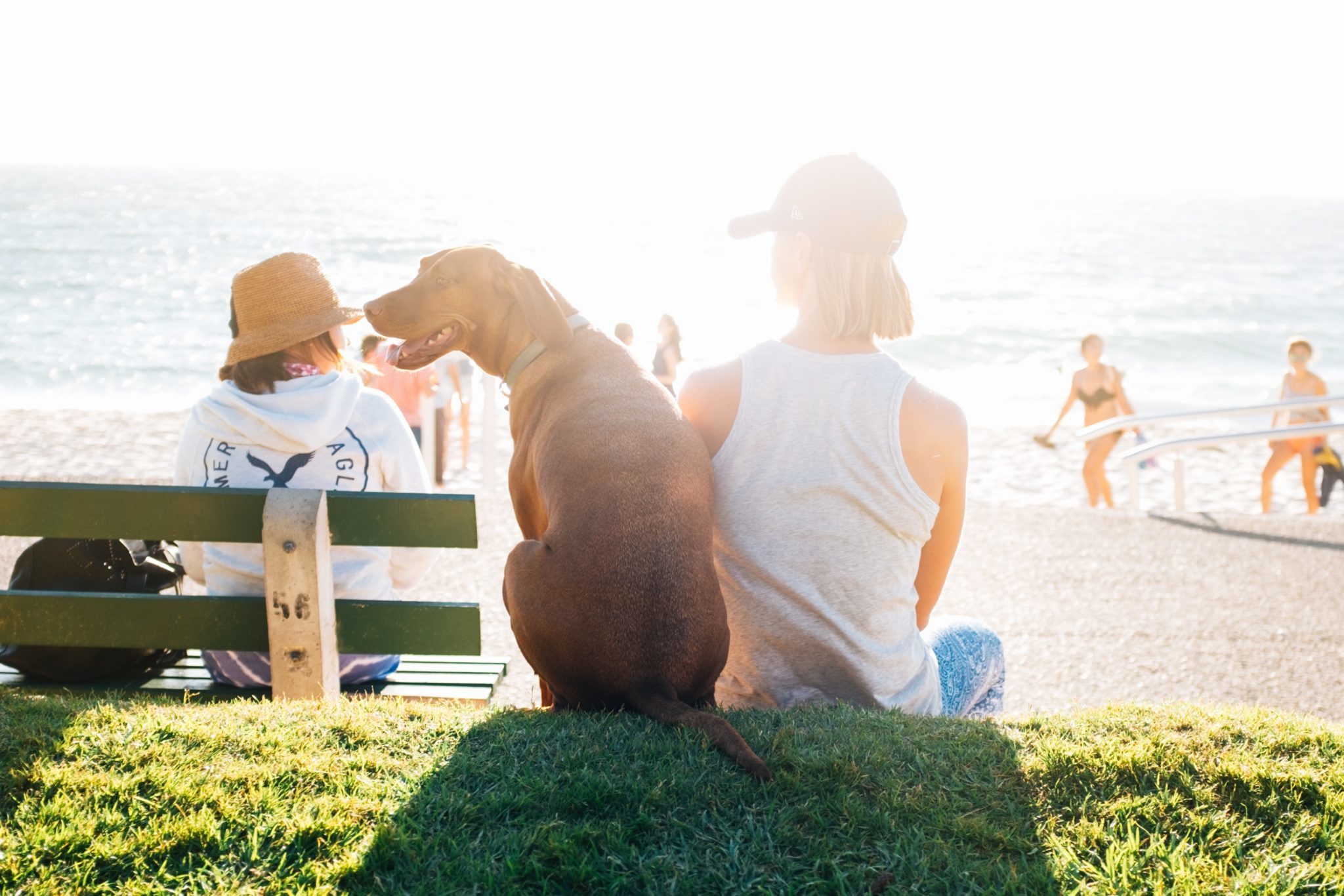 Hond en baas op vakantie